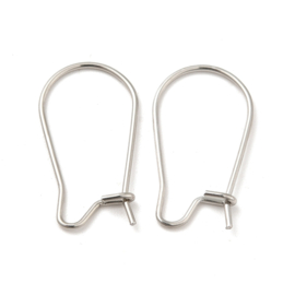 2 x  RVS  316 Chirurgisch staal oorbellen haakjes Afm: c.a. 11 x 20 mm, pin: 0,7 mm
