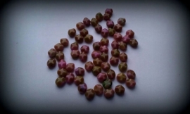 10 x facetkralen bruin/roze glans 8 mm