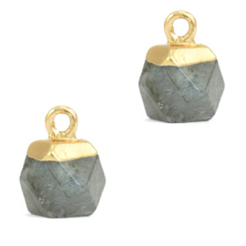 1 x Natuursteen hangers hexagon Fossil grey-gold Grey Cloudy Quartz