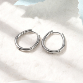 2 x 201 RVS creolen ovaal 20,5 x 17,5 mm – RVS kleur