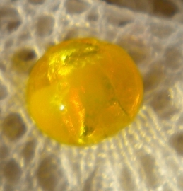 SF glaskraal rond 10mm geel