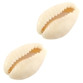 4 x Schelp kralen Kauri Ivoor-beige  ca. 14~18 x 10mm