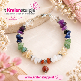 Starters pakket sieraden- oorbellen maken edelstenen B
