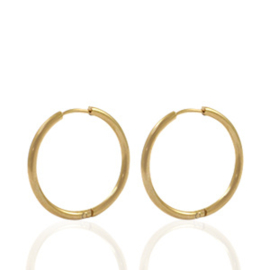 2 x  Roestvrij stalen (RVS) Stainless steel oorbellen creolen 18mm Goud ca. 18mm x 2mm