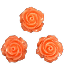 5x Roosjes kralen Oranje  14 mm Gat: 1 mm