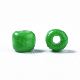 20 gram Glaskralen Rocailles 6/0 (4mm) Green