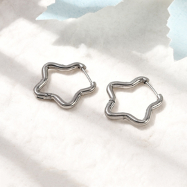 2 x 201 RVS creolen ster 23 x 22,5 mm – RVS kleur