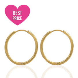 2 x Roestvrij stalen (RVS) Stainless steel oorbellen creolen ca. 15 x 1,6mm Gold