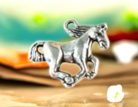 Paarden bedels