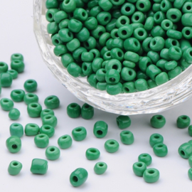 20 gram rocailles Seed Beads 6/0  4mm gat: 1,5mm Opaque Pale Green