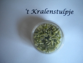 Pracht - glasstiften buisjes met zilverinslag 6mm 17 gram mint groen