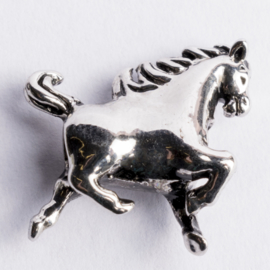 Be Charmed paard kraal zilver met een rhodium laag (nikkelvrij) c.a.11x 10mm groot gat: 4mm