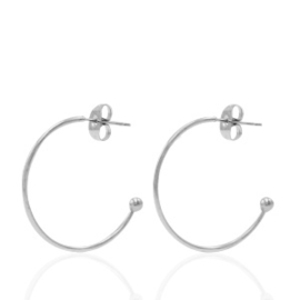 2x Roestvrij stalen (RVS) Stainless steel oorbellen/oorstekers creolen Zilver 20mm