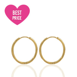 2 x Roestvrij stalen (RVS) Stainless steel oorbellen creolen 11 x 1,6mm Gold