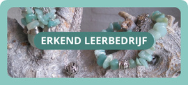Stage Erkend leerbedrijf SBB