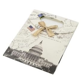 Cadeautasje kraft papier afmeting: 165 x 125 x 56mm met strikje Washington DC (op = op!)