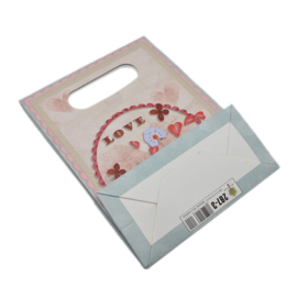 Cadeautasje kraft papier afmeting: 165 x 125 x 56mm met strikje (op = op!)