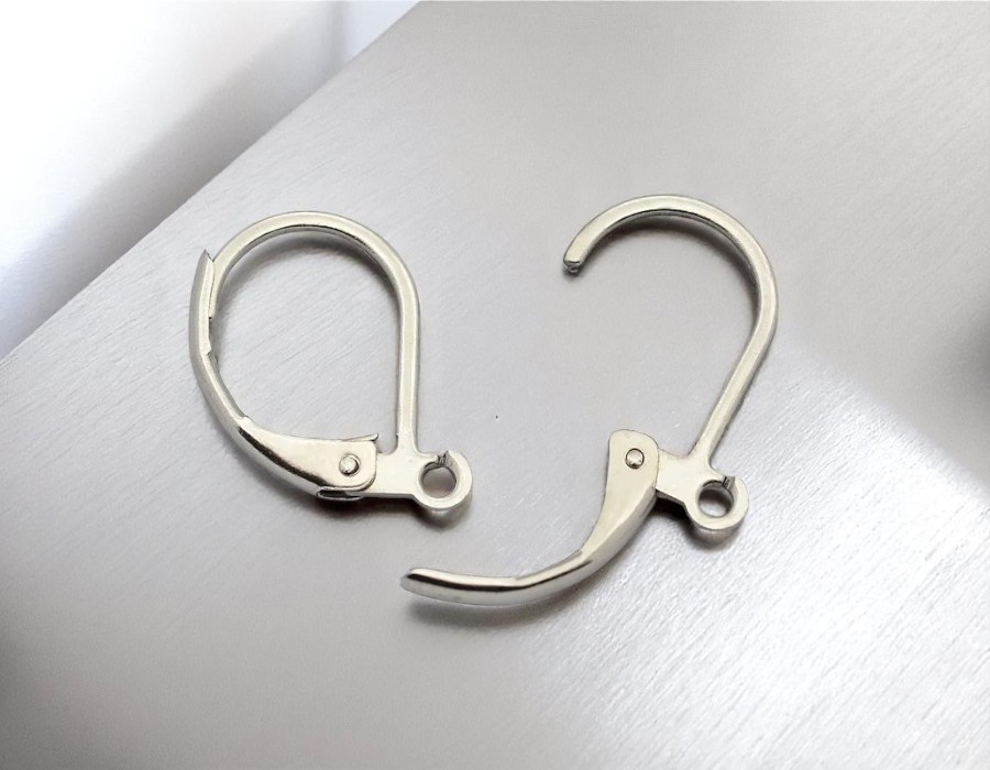2 x RVS 304 oorbellen haakjes 15mm x 10mm oogje: 1mm