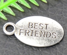 10 stuks Tibetaans zilveren bedels "best friends" 18 x 10 x 1mm gat 2,5mm