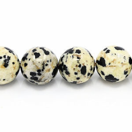 10 x edelsteen kraal Nature Dalmatier Jaspis 6 mm