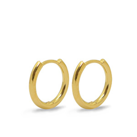 2 x Roestvrij stalen (RVS) Stainless steel oorbellen creolen ca. 16mm 24k verguld