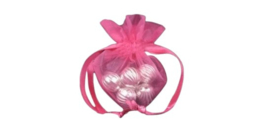 Organza zakjes hartvorm 