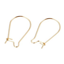 2 x Oorbellen haakjes chirurgisch staal goudkleur 20 x 12 x 2.5mm Pin: 0.6mm