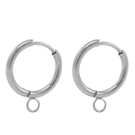 2 x Roestvrij stalen (RVS) Stainless steel oorbellen creolen Silver ca. 17mm (Ø2.4mm)