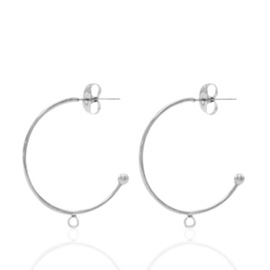 2x Roestvrij stalen (RVS) Stainless steel oorbellen/oorstekers creolen met oogje Zilver 20mm