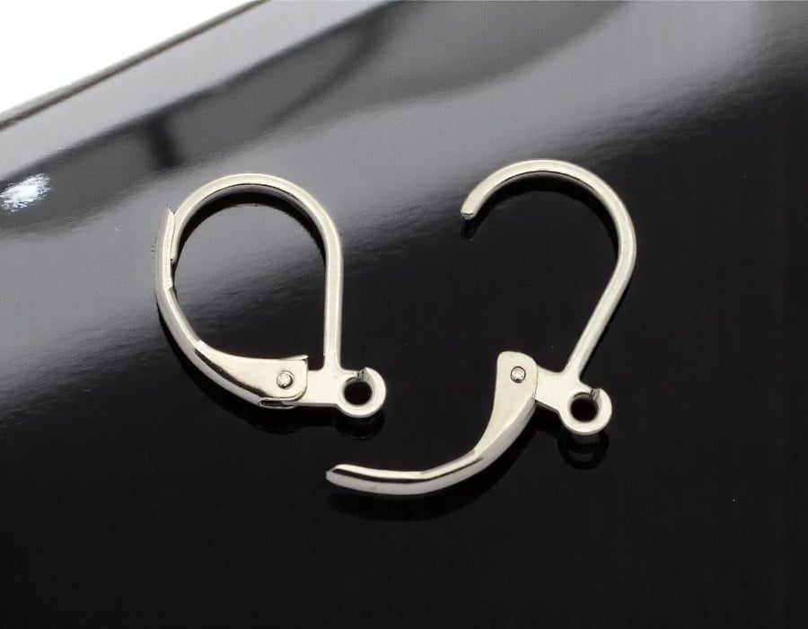 2 x RVS 304 oorbellen haakjes 15mm x 10mm oogje: 1mm