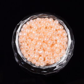 20 gram Seed Beads rocailles  8/0  2.0~3.0mm, gat: 0,8mm Ceylon Bisque