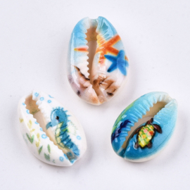 5 x  handbeschilderde kauri kralen met zee print  18~22 x 13~14 x 6~8mm