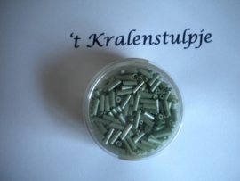 Pracht - glasstiften buisjes met zilverinslag 6 mm 17 gram groen