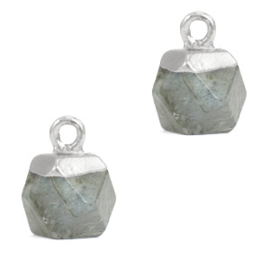 1 x Natuursteen hangers hexagon Fossil grey-silver Grey Cloudy Quartz
