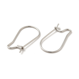 2 x  RVS  316 Chirurgisch staal oorbellen haakjes Afm: c.a. 11 x 20 mm, pin: 0,7 mm