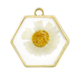 1 x  Bedels met gedroogde bloemetjes hexagon Gold-white