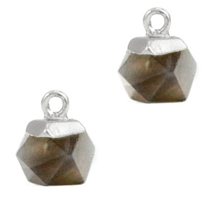 1 x Natuursteen hangers hexagon Black diamond- silver Rook kwarts