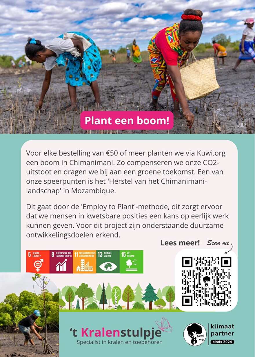 Duurzaam kralen kopen, voor elke order van 50 euro of meer planten wij een boom!