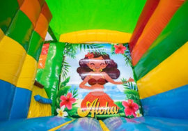 Hawai multifun met zwembad dagprijs