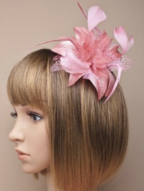 Bloem Fascinator Roze