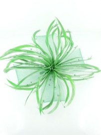 Decoratieve Fascinator Groen