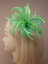 Decoratieve Fascinator Groen