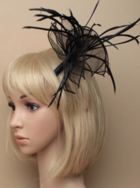 Volle Fascinator Zwart