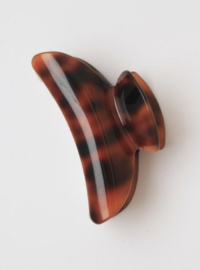 Haarklem Bruin & Goud