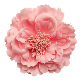 Mooie Haarbloem Roze