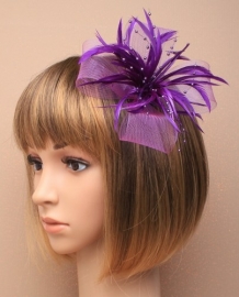 Decoratieve Fascinator Paars