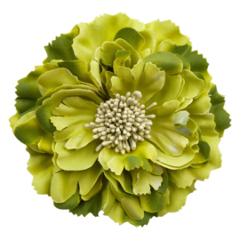 Mooie Haarbloem Olijfgroen