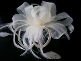 Fascinator Ivoor