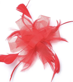 Fascinator Rood