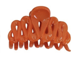 Oranje Haarklem